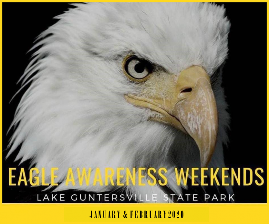 Eagle Awareness Weekends at LGSP Alapark
